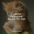 Cats Music Zone, Music For Cats Peace, RelaxMyCat