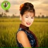 គង ឌ ណ