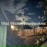 Wild Wicker Werewolves
