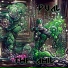 The Amil
