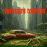 Mayhem Munim