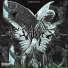 COLDSILENCE