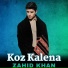 Zahid Khan