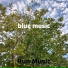 Run Music