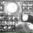 Mally808