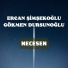 Ercan Şimşekoğlu feat. Gökmen Dursunoğlu