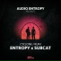 Entropy