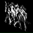 Maxine Kauter Band, Maxine Kauter