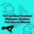 Whoopee Cushion Fart Sound Effects