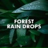 Relaxing Music