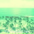Рэгги общество