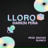 Darkin Peña