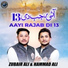 Hammad Ali