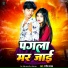 Ranjiv Yadav