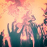 The Agromaniac