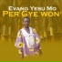 Evang Yesu Mo