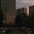nikitin
