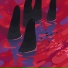 c nn bis