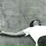 Dillan Zamaita