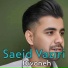 Saeeid Vaziri