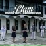 Plam