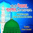 Farid Chishti