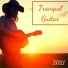Soothing Guitar