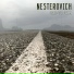 NESTEROVICH