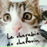 Hardu