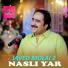 Javed Molai 2