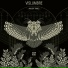 Vislumbre