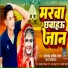 Abhishek Aashik Yadav