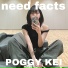 poggy kei