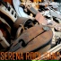 Serena rock band