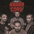 8. Haarp Cord