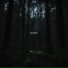 iceyray feat. skibo