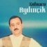 666 AYDINCIK