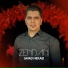 Javad Nekaei