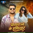 Saurabh Dhawan, Anju Raj