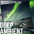 101 Dark Orchid Music