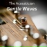 The Acoustician