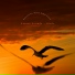 Nature Sounds Birds