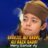 Shakeel Ali Qadri, Ali Raza Qadri