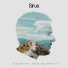 Sinus