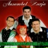 Ansambel Zarja