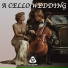 Get It Done, Positive Spin Songs, Ghostcello