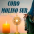 Coro Molino Sur