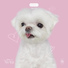 Youngjae feat. COCO