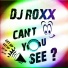 DJ Roxx