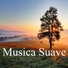 Melodías Suaves